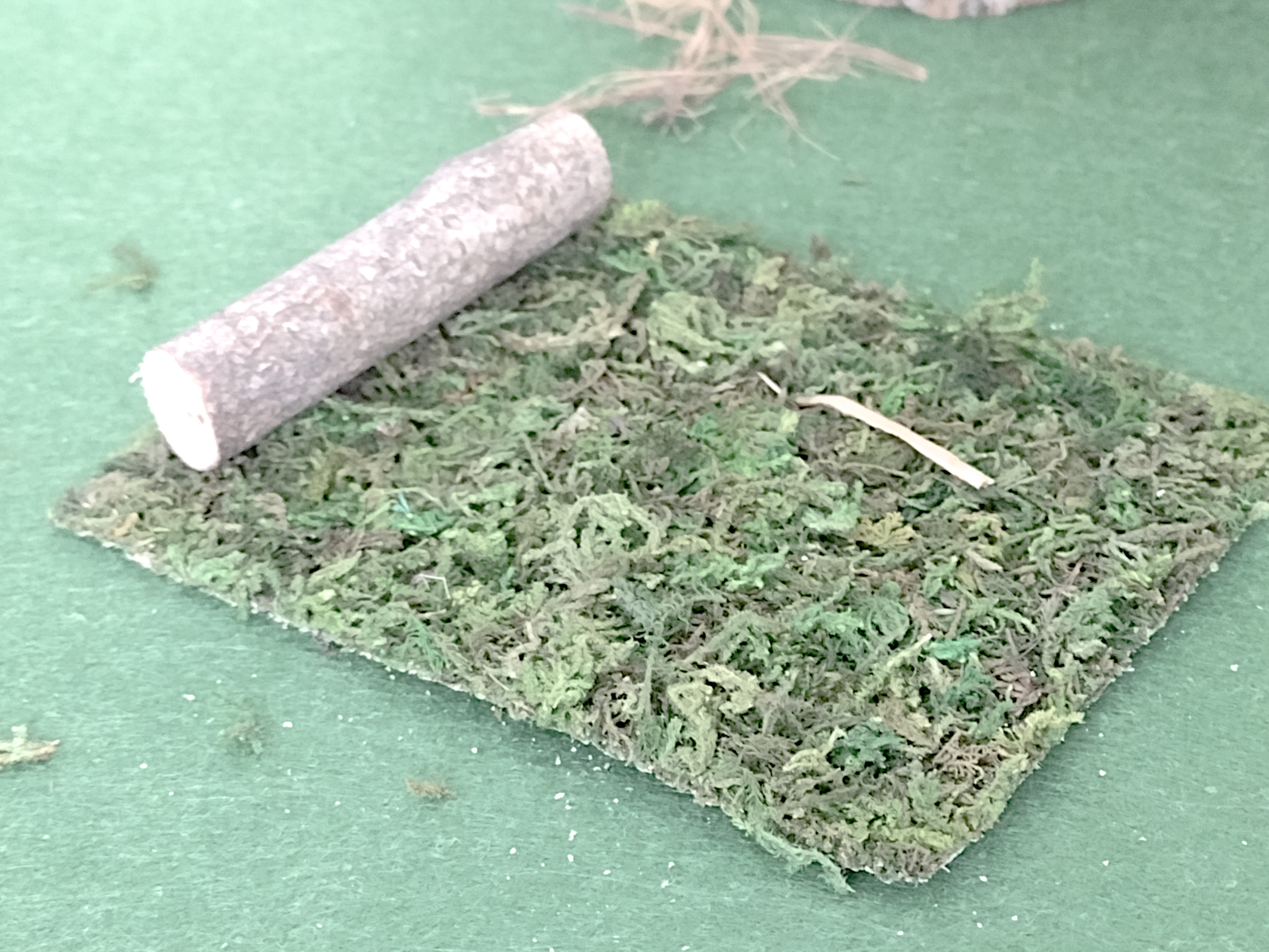 miniature moss bed
