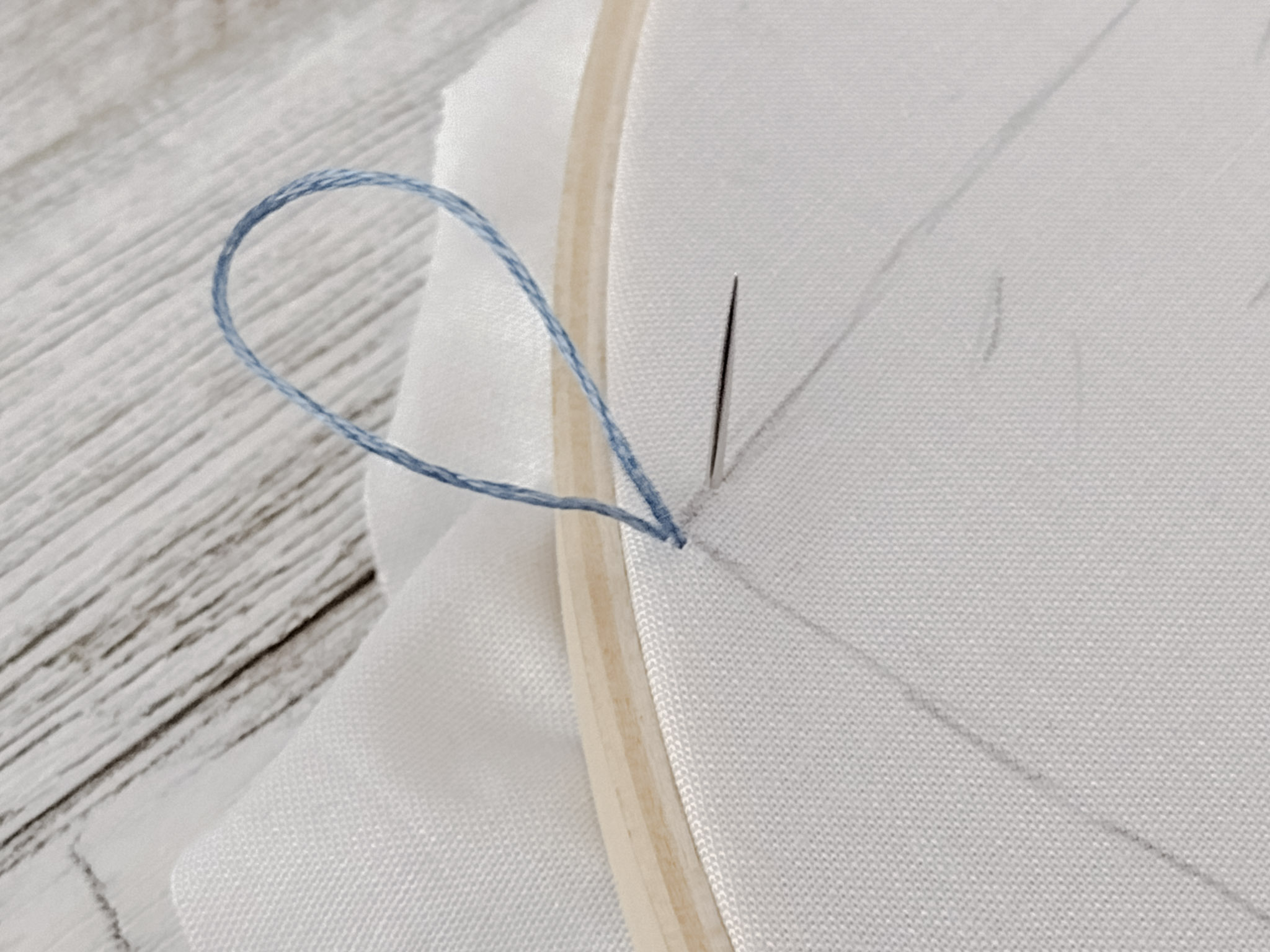 Needle poking through with a floss loop behind it on an embroidery hoop.